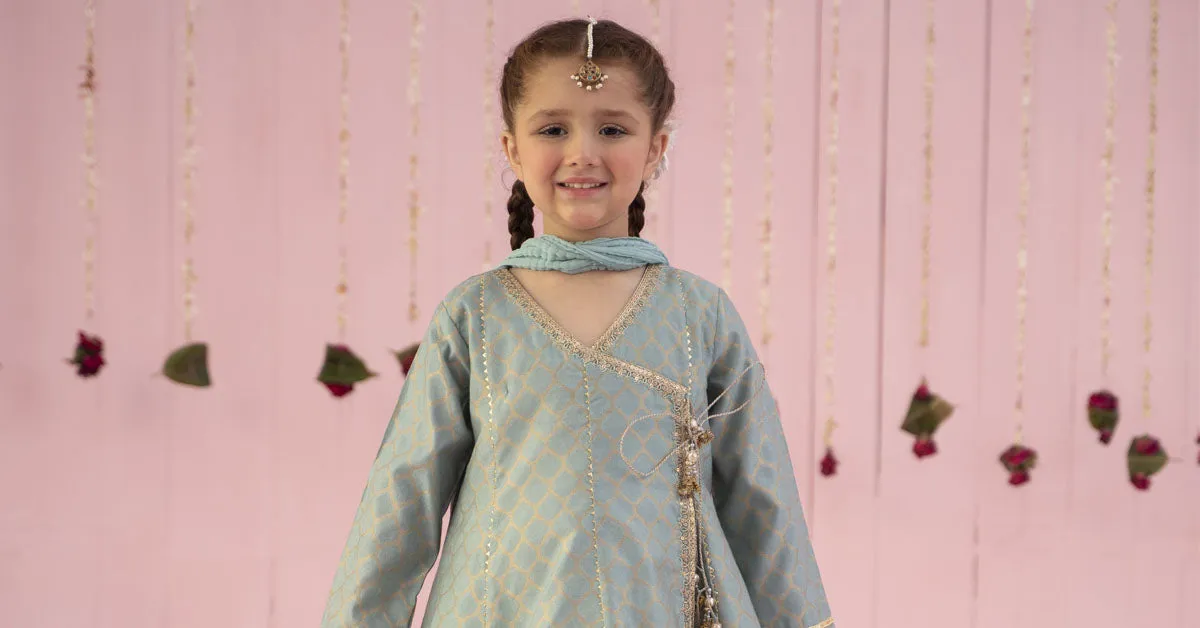 3 Piece Embroidered Jacquard Suit | MKS-EF24-13