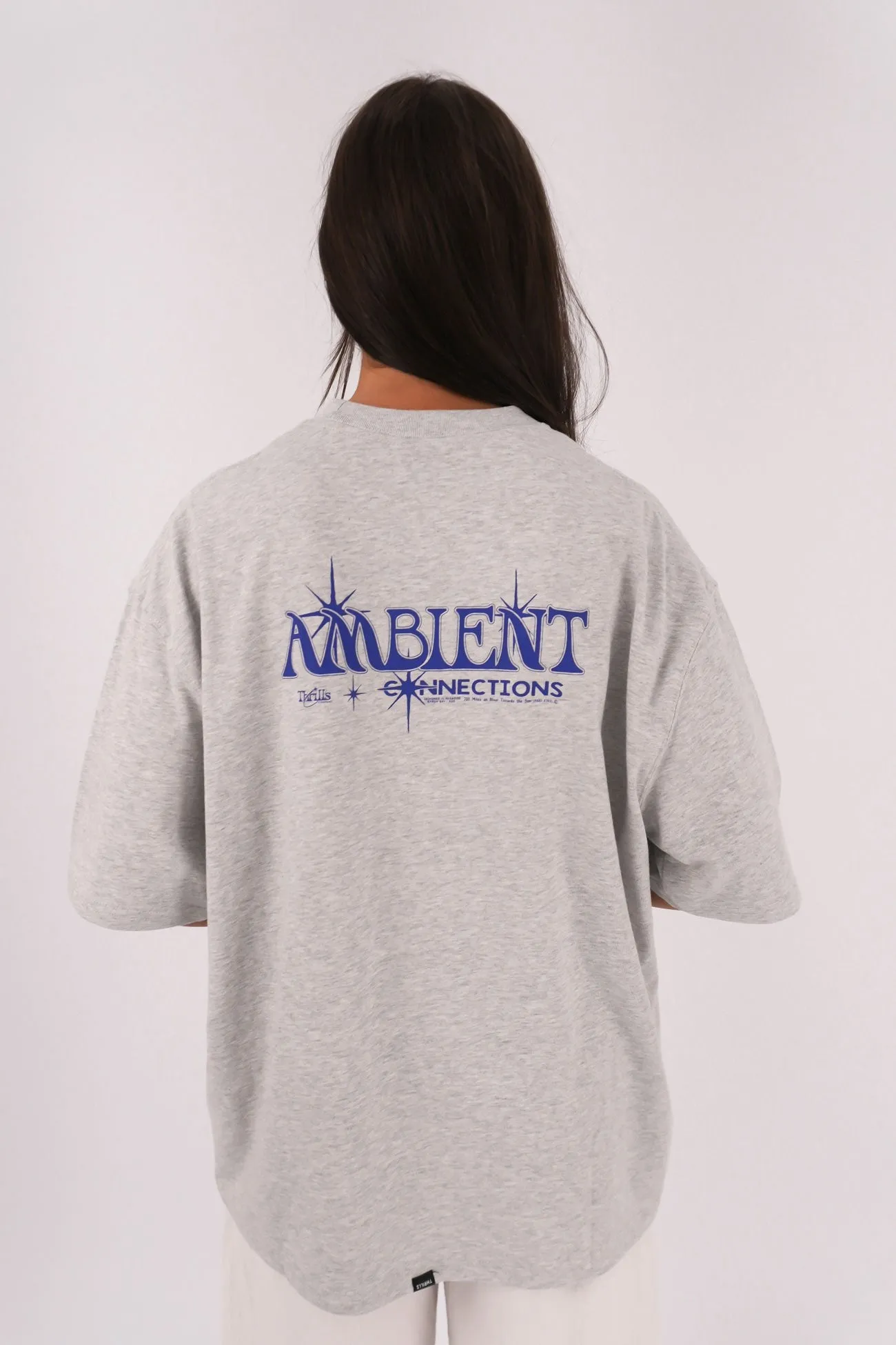 Ambient Connection Oversized Tee Snow Marle