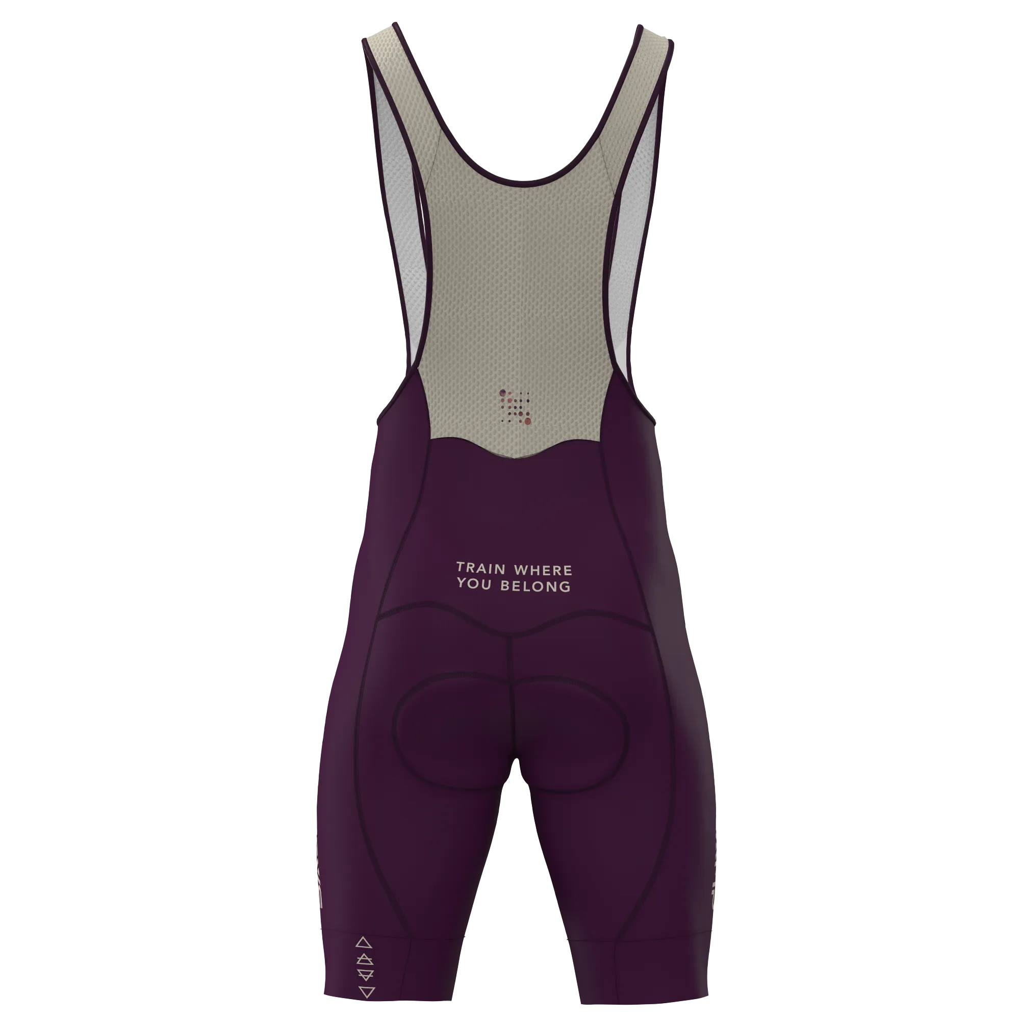 Basecamp25 - Women's Pro -Long Inseam Version- Bib Short -  ($160 with BC Discount) - Wind